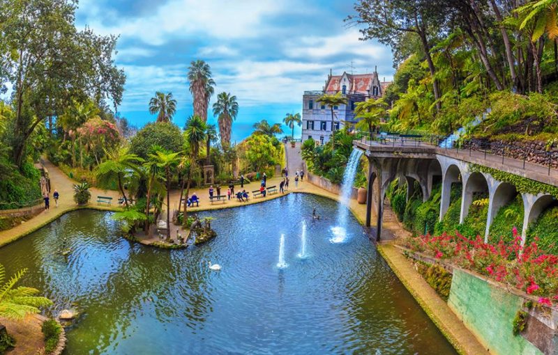 madeira-3