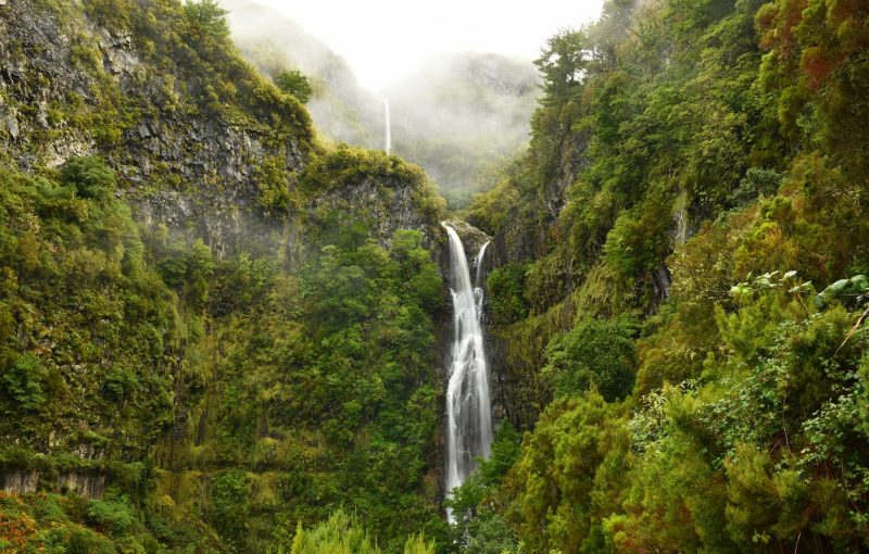 madeira-4
